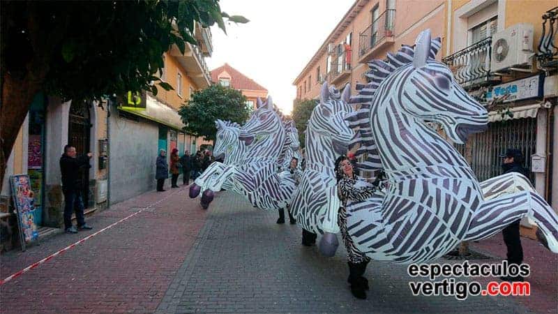 02-Zebras